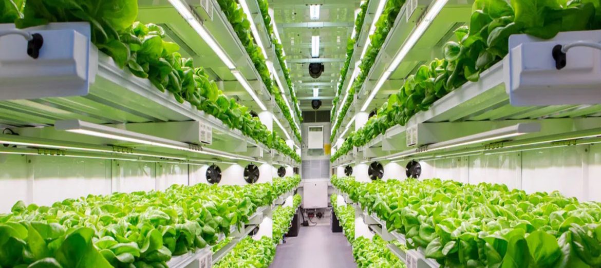 container-greenhouses-urban-farming-1