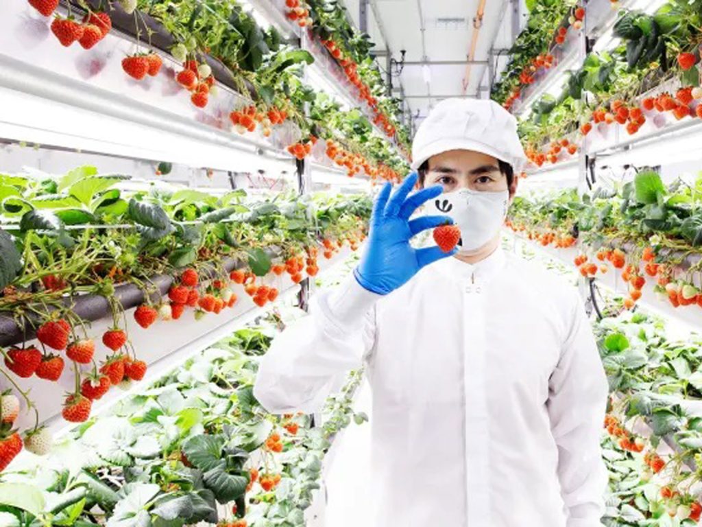 container-greenhouses-urban-farming-2