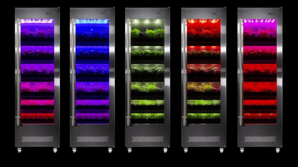 microgreens plant growing cabinets-2