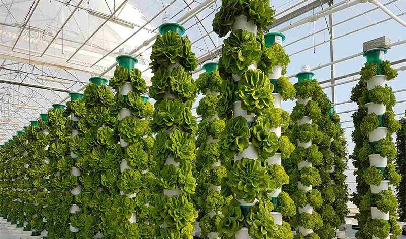 global-urban-farming-systems-hidroponik-hydroponic-cultivation-hydroponics-smart-greenhouse-systems-urban-agriculture-urban-agriculture-projects-urban-farming-vertical-farming-vertical farming solutions-001