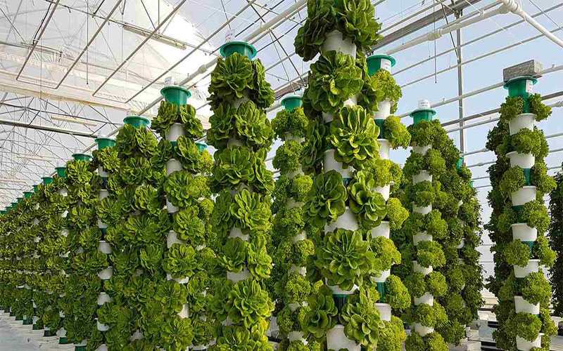global-urban-farming-systems-hidroponik-hydroponic-cultivation-hydroponics-smart-greenhouse-systems-urban-agriculture-urban-agriculture-projects-urban-farming-vertical-farming-vertical farming solutions-001