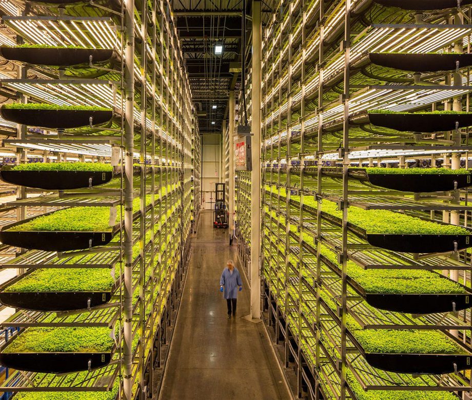 dikey-tarim-katli-tarim-vertical-farming-1