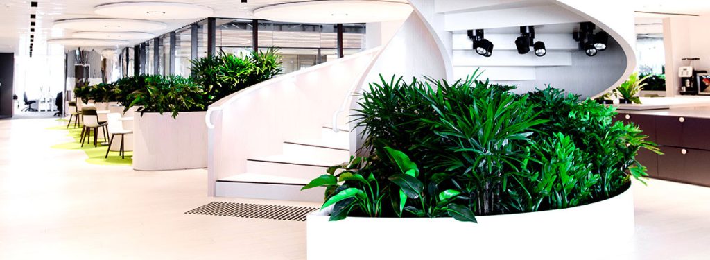 indoor-landscape-growlights-1