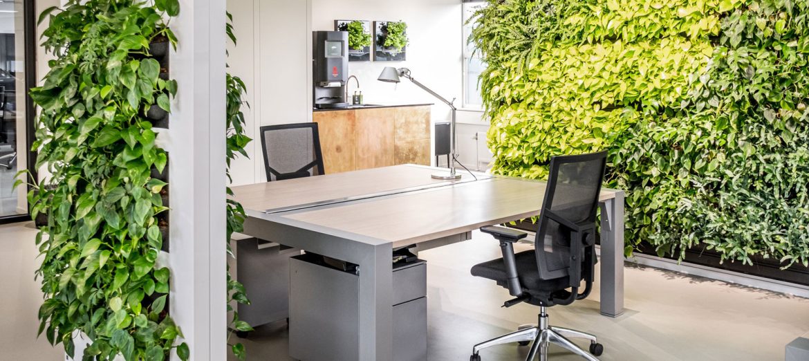indoor-landscape-growlights-2 indoor-landscape-growlights-2