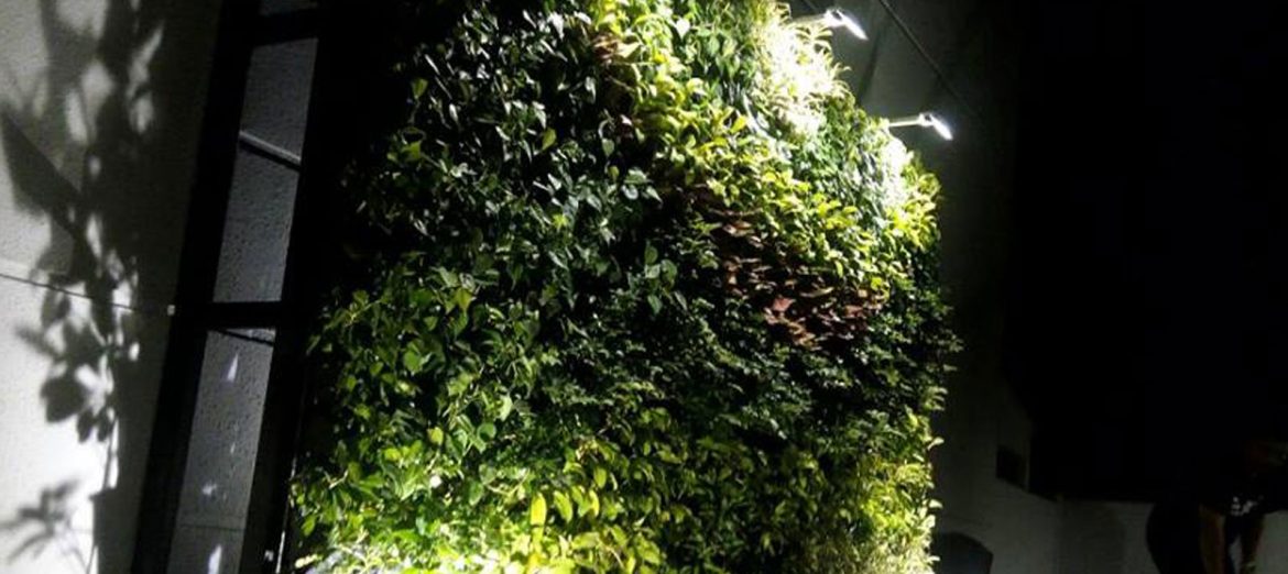 outdoor-landscape-growlight-1 outdoor-landscape-growlight-1