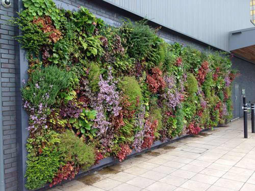 outdoor-landscape-growlight-2