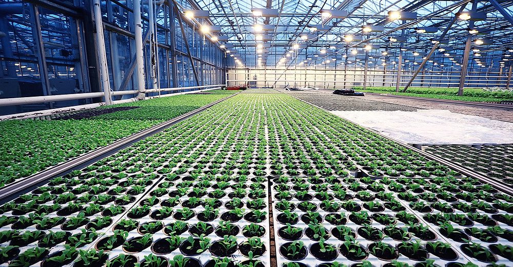 sera-growlight-greenhouse-growlight-1 sera-growlight-greenhouse-growlight-1