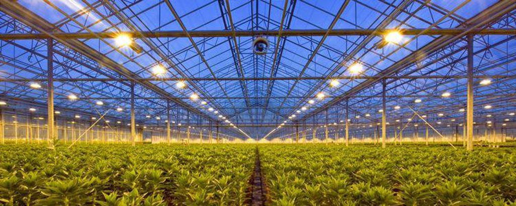 sera-growlight-greenhouse-growlight-2