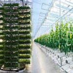 urban-agriculture-urban-agriculture-projects-smart-greenhouse-systems-vertical-farming-hydroponics-urban farming-Global-Urban-Farming-Systems-002