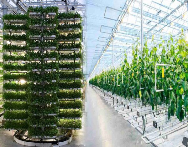 urban-agriculture-urban-agriculture-projects-smart-greenhouse-systems-vertical-farming-hydroponics-urban farming-Global-Urban-Farming-Systems-002