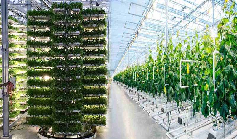 urban-agriculture-urban-agriculture-projects-smart-greenhouse-systems-vertical-farming-hydroponics-urban farming-Global-Urban-Farming-Systems-002