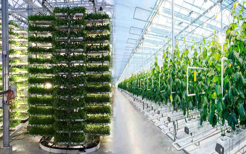 urban-agriculture-urban-agriculture-projects-smart-greenhouse-systems-vertical-farming-hydroponics-urban farming-Global-Urban-Farming-Systems-002