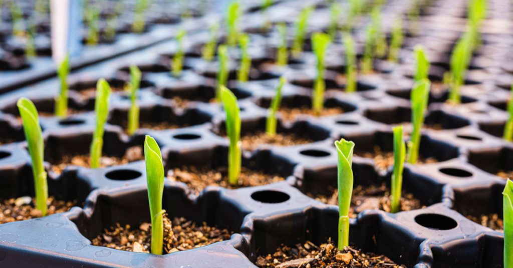 urban-agriculture-urban-agriculture-projects-smart-greenhouse-systems-vertical-farming-hydroponics-urban farming-Global-Urban-Farming-Systems-008