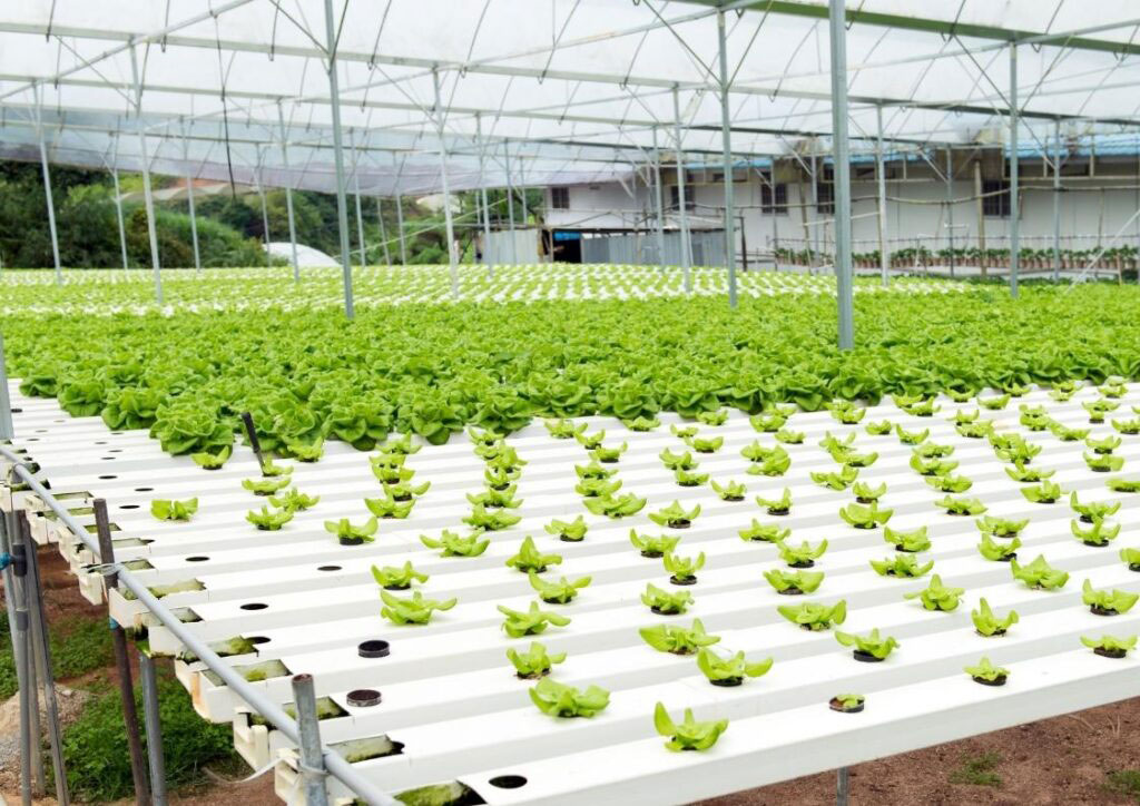 urban-agriculture-urban-agriculture-projects-smart-greenhouse-systems-vertical-farming-hydroponics-urban farming-Global-Urban-Farming-Systems-010