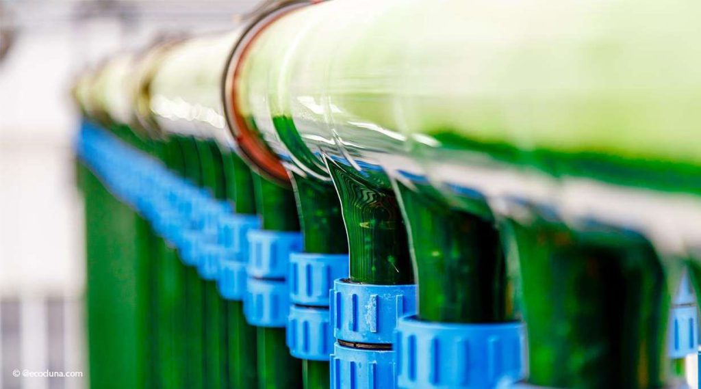 urban-farming-spirulina-chlorella-2
