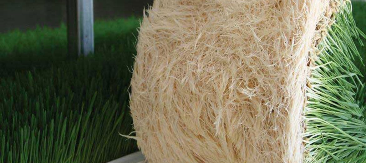 urban-farming-urban-agriculture-fresh-feed-and-fresh-forage-2 urban-farming-urban-agriculture-fresh-feed-and-fresh-forage-2
