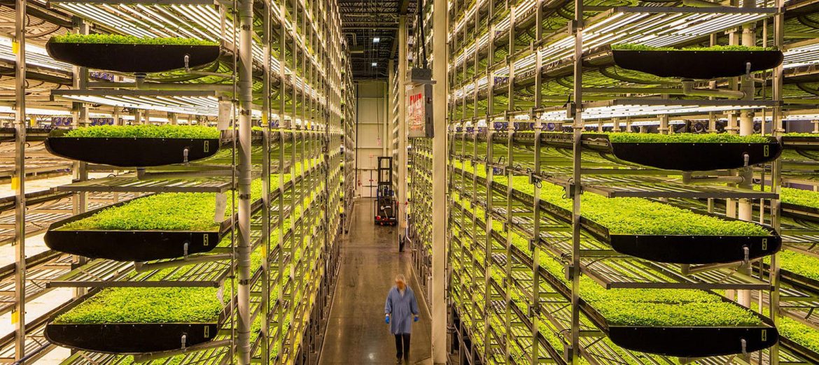 vertical-agriculture-vertical-farming-urban-agriculture-urban-agriculture-projects-smart-greenhouse-system-1 vertical-agriculture-vertical-farming-urban-agriculture-urban-agriculture-projects-smart-greenhouse-system-1