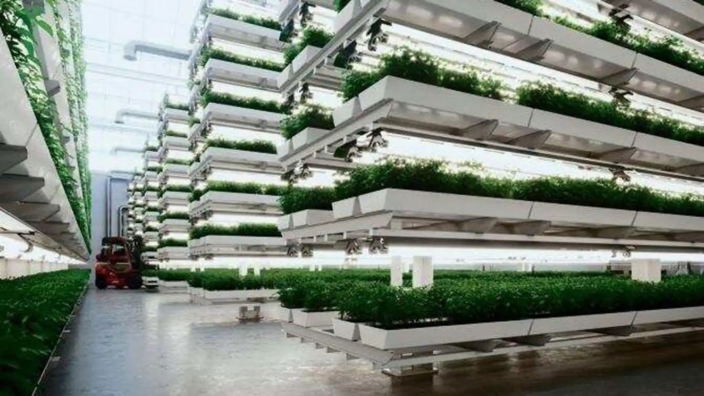 vertical-agriculture-vertical-farming-urban-agriculture-urban-agriculture-projects-smart-greenhouse-system-2